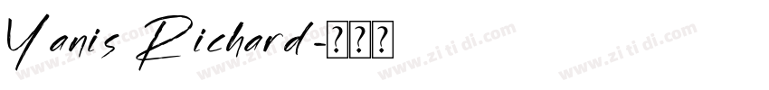 Yanis Richard字体转换